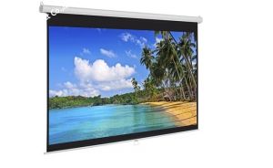 màn chiếu Dalite 110 inch 16 9