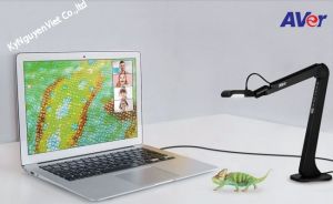 Máy chiếu vật thể AVerVision M5